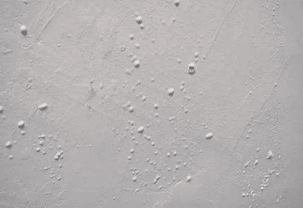 膩子粉消泡劑的應(yīng)用場景